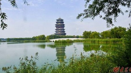 揭秘娱乐圈多面风云：张杰与明星背后故事