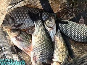 三只羊录音门风波持续发酵，卢文庆私生活爆料引全网热议