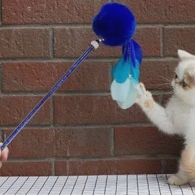 从“吃瓜综艺”到闺蜜情谊：娱乐圈背后的真实故事变奏🎭