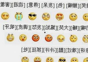 娱乐圈大瓜不断！吃瓜酱熊猫怒喷揭秘背后真相，网友炸锅了🔥