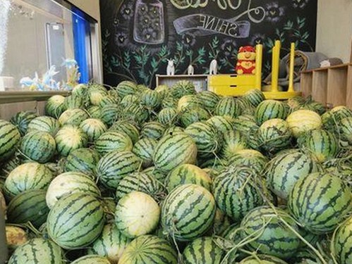 51爆料网持续引发热议，网友关注度攀升背后的原因揭秘