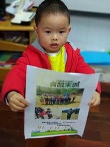 国产电影市场迎来新变局：午夜档口碑与观众期待背后的冷静观察